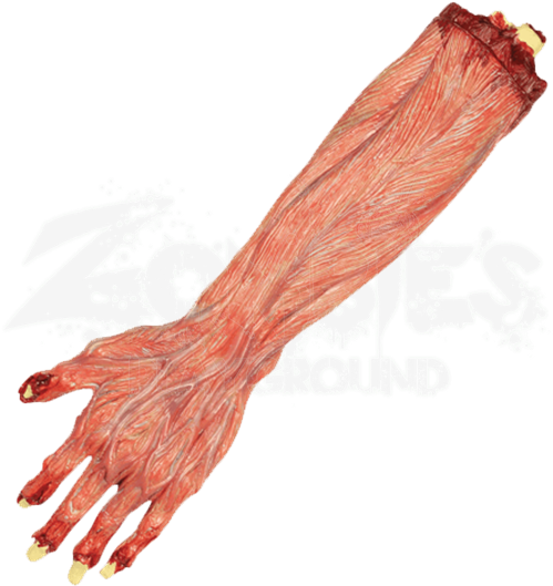 Skinned Arm - Zombie (550x550), Png Download