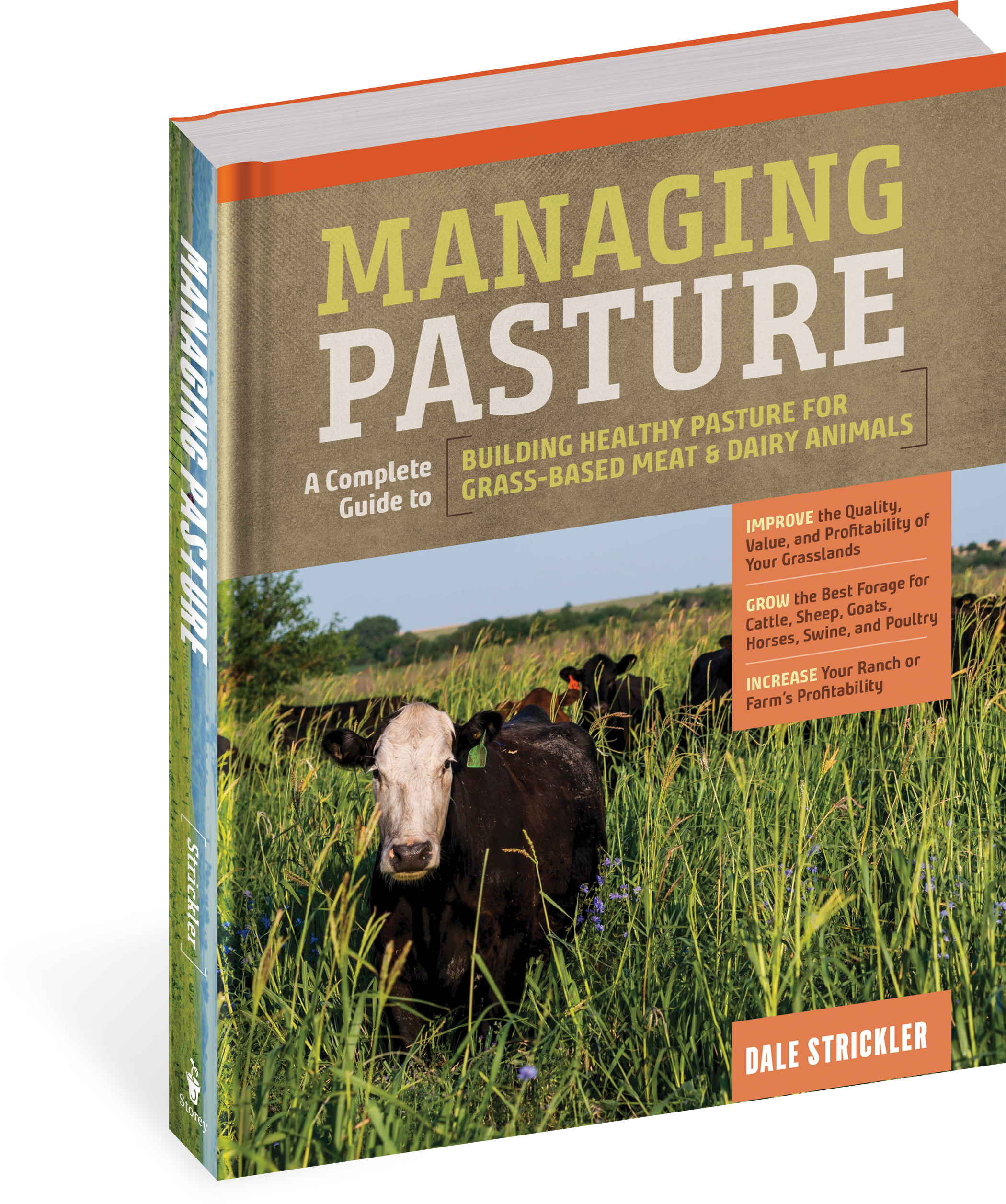 Cover - Pasture (2100x2513), Png Download