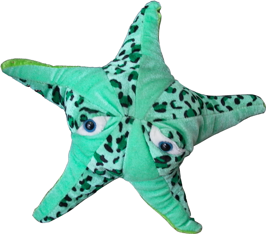 Estrella Mar De 13" Clave - Portable Network Graphics (904x790), Png Download