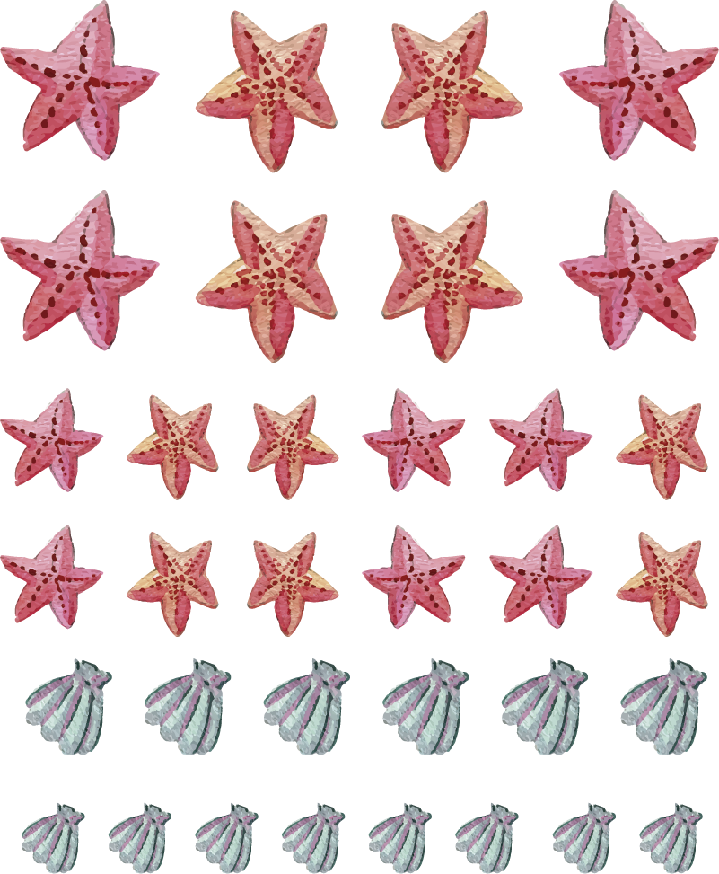 Vinilo Marinero Estrella De Mar - Iqiyi (801x973), Png Download