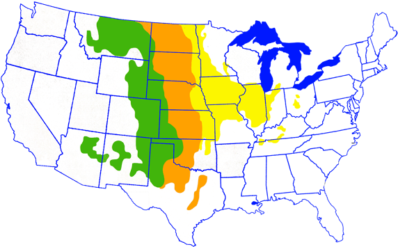 Fire Is An Important Part Of Restoring And Maintaining - Blue Throated Hummingbird Range (600x380), Png Download