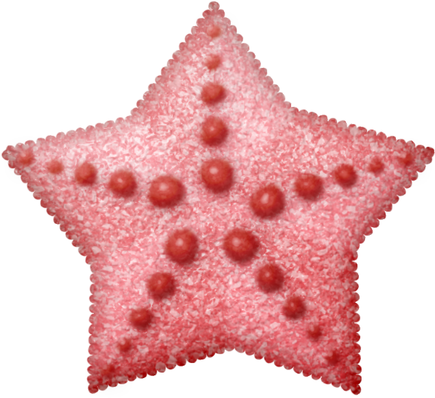 Estrellas De Mar Png - Email (690x630), Png Download