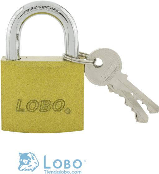 Candado Con Llave Plana Hierro Dorado 50 Mm Lobo Caja - Chain (1000x666), Png Download