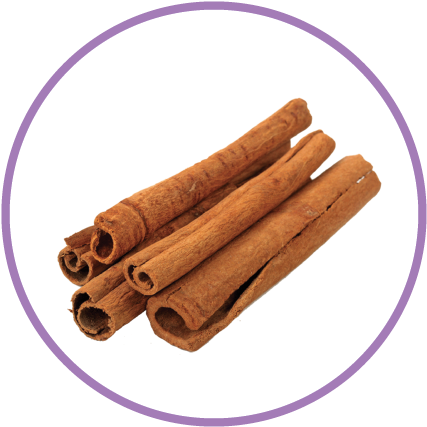 Cinnamon Extract - Cinnamon Png (442x442), Png Download