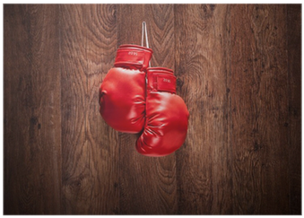 Pair Of Boxing Gloves Hanging On A Wall Poster • Pixers® - Poster: Buso23's Pair Of Football Boots Hanging (400x400), Png Download