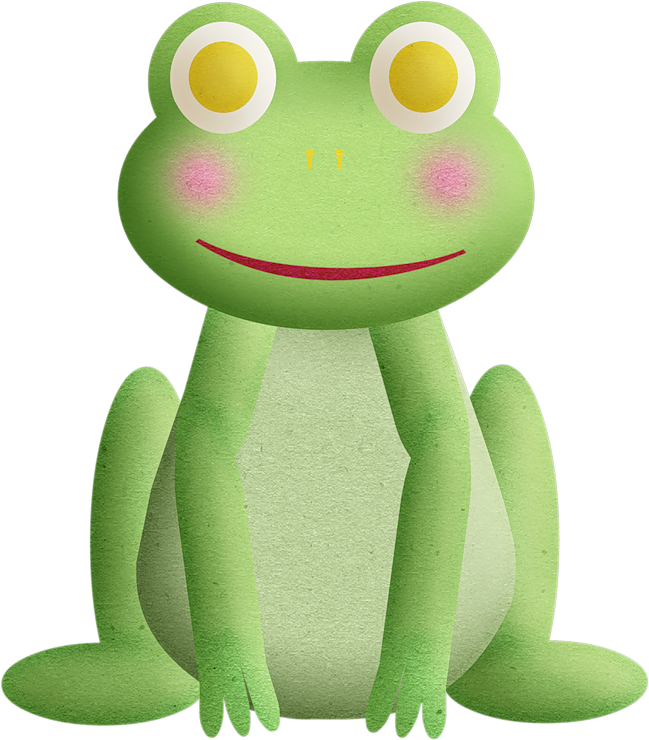 Green Frog Clipart Rana - Frog (800x800), Png Download