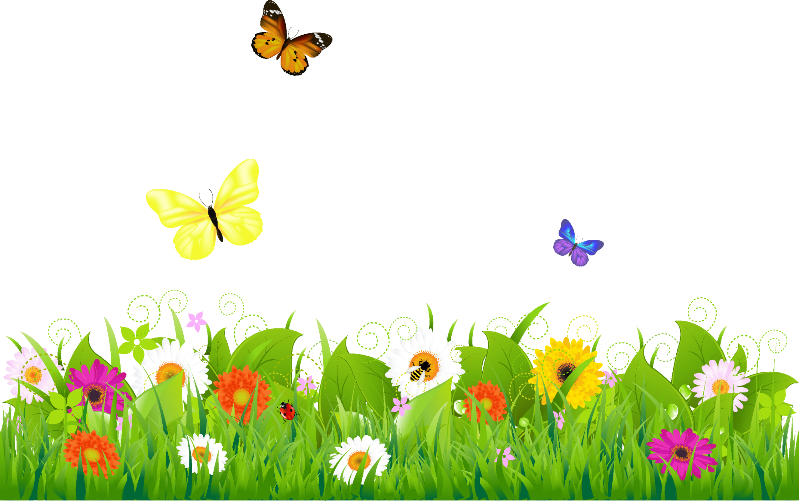 Report Abuse - Grass With Flower Cartoon Png (799x501), Png Download