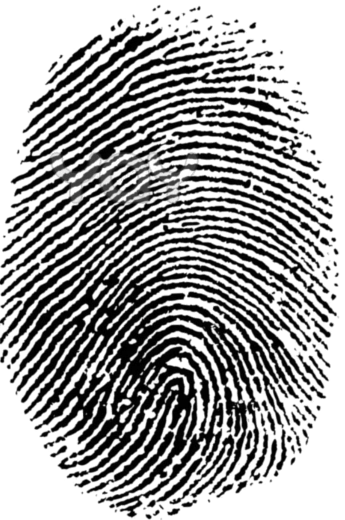 Line Drawing Transparent Background (345x520), Png Download