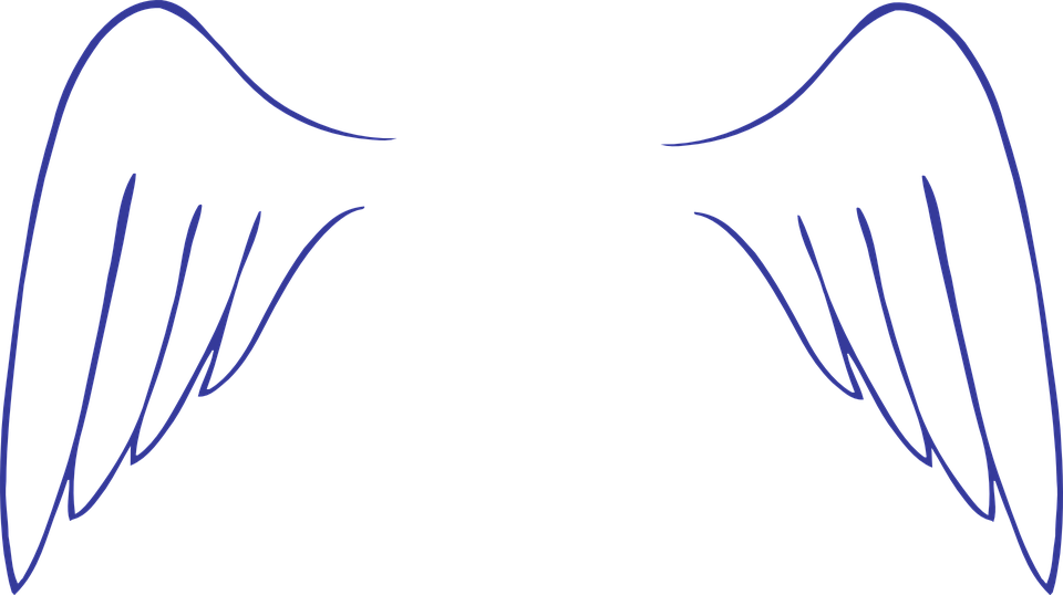 Asa De Anjo Desenho Png - Asas De Anjo Desenho Png (960x538), Png Download