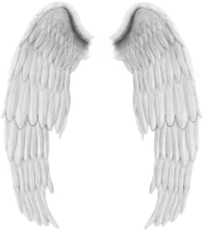 Collection Wing Angel Wing Butterfly Wing Devil And - Illustration (445x499), Png Download