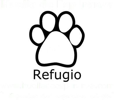 White Paw Print Transparent Background (392x344), Png Download