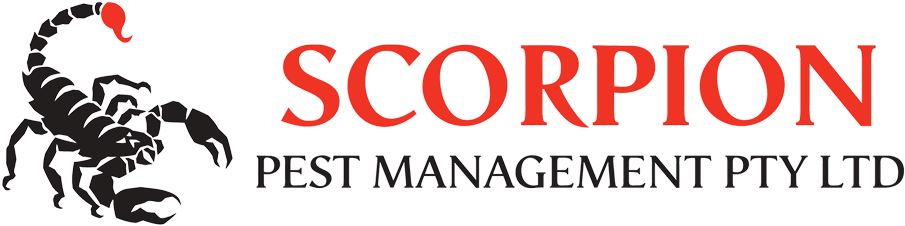 Scorpion Pest Control Hobart Logo White - Scorpion Pest Management (950x257), Png Download