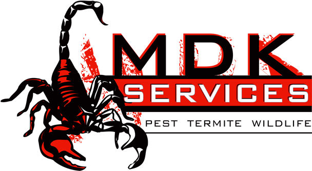 Local Exterminator Company San Angelo, Tx - Scorpion Company (632x348), Png Download