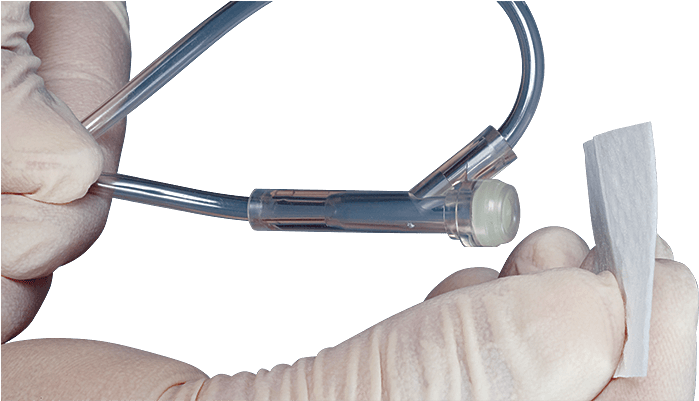 Nasal Septum (748x400), Png Download