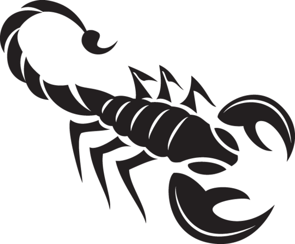 Scorpion - 285ra - Scorpion Vector (600x498), Png Download