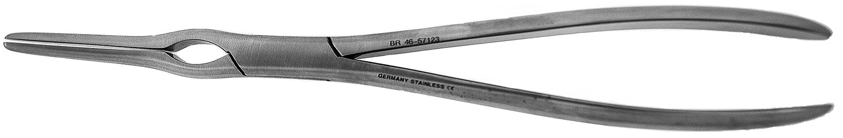 Asch Septum Forcep, Straight, 9" German Stainless Steel - Scissors (1920x1080), Png Download