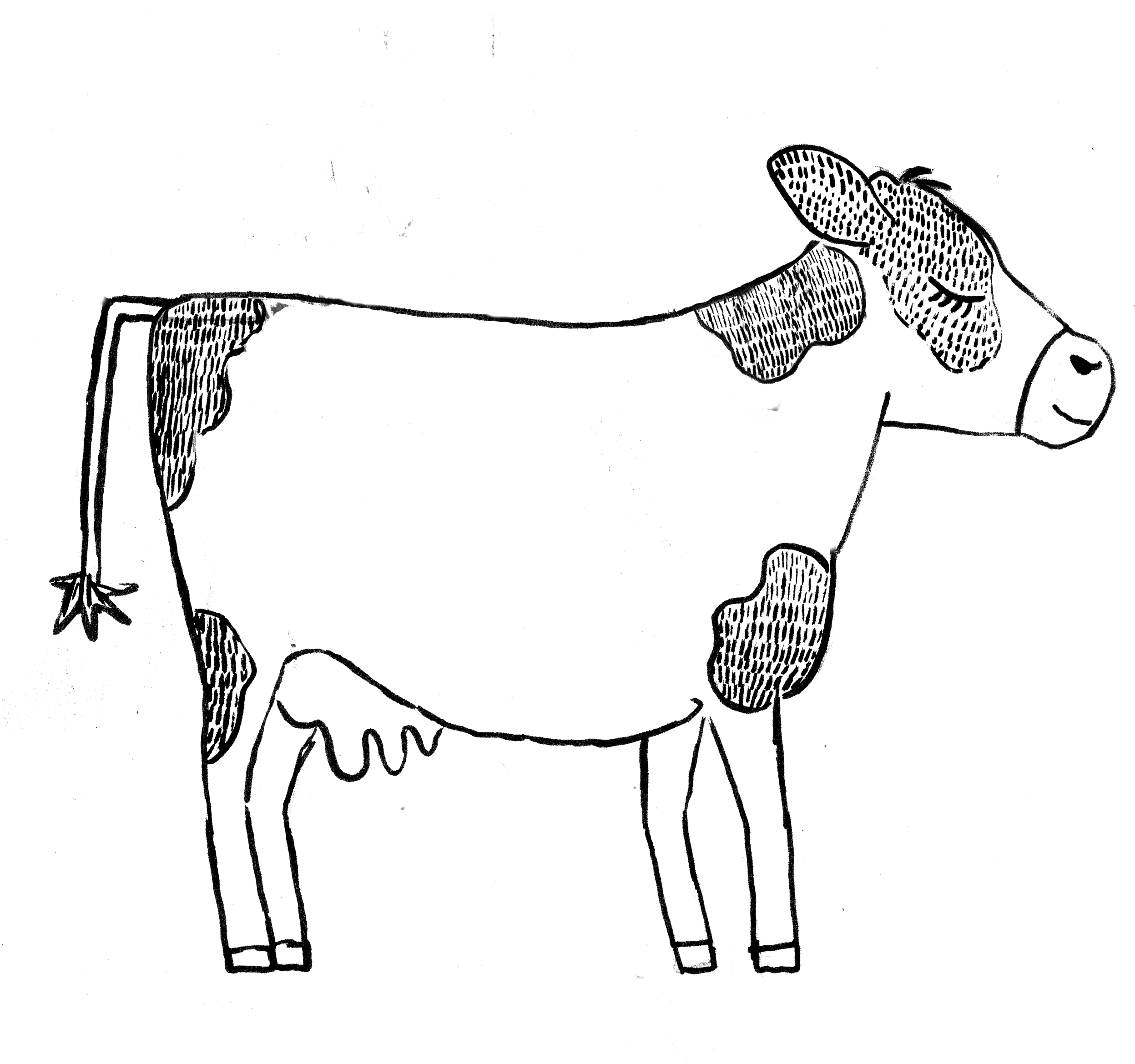 Cow Copy Web - Line Art (2624x2338), Png Download
