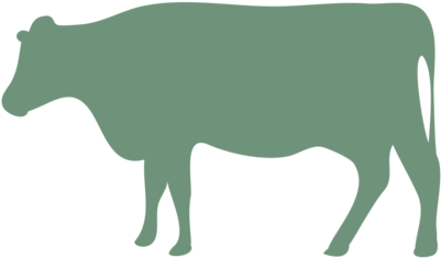 File - Cow - Beef Cow Silhouette (480x480), Png Download