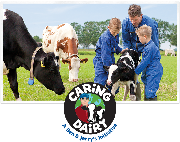 Happy Cows Ben And Jerry S Caring Dairy Program Full Size Png Download Seekpng