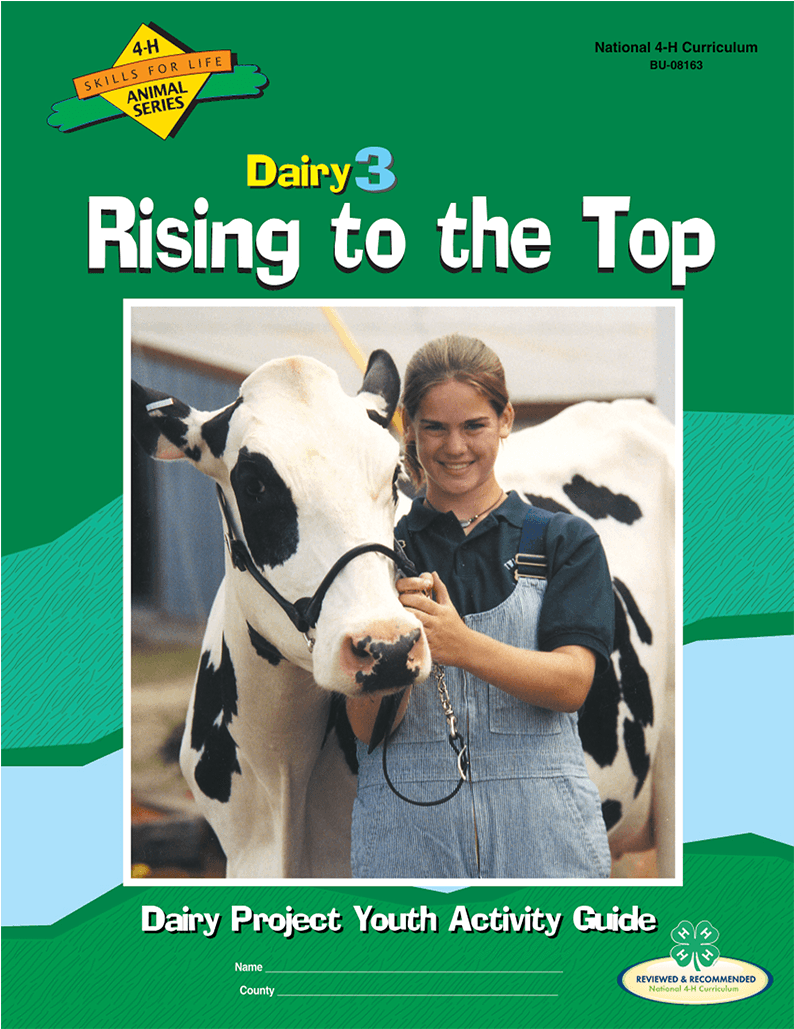 Dairy Cattle Curriculum - Dairy Cow (1028x1028), Png Download