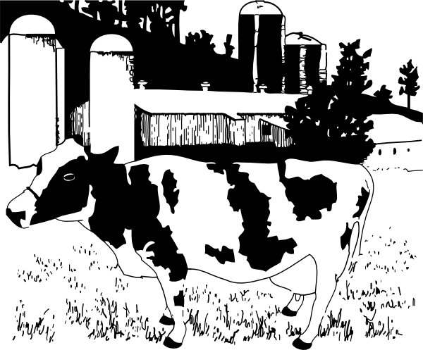 Cattle Clipart Dairy Cow - Did The World Begin (600x497), Png Download