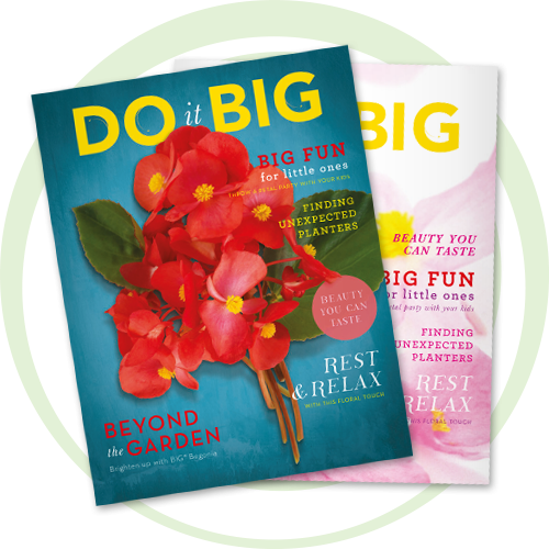 Download These Fun Retail Event Ideas - Cut Flowers (500x500), Png Download