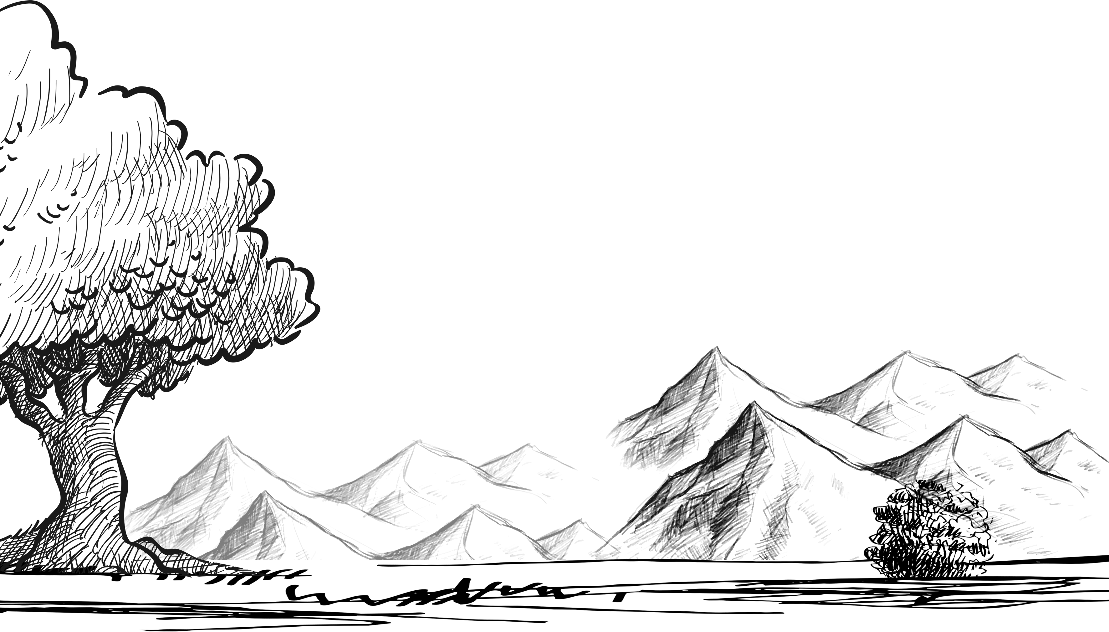 Hand Drawn Cartoon Sketch Tree Decoration Vector - Boceto De Arboles Png (3543x2493), Png Download