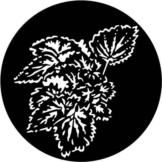 Foliage Begonia - Steelgobos Ms-1012 Apollo Foliage Begonia Steel Gobo (800x800), Png Download