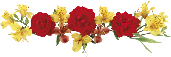 Красные Цветы, Желтые Цветы, Красная Роза, Red Flowers, - Цветы (600x267), Png Download