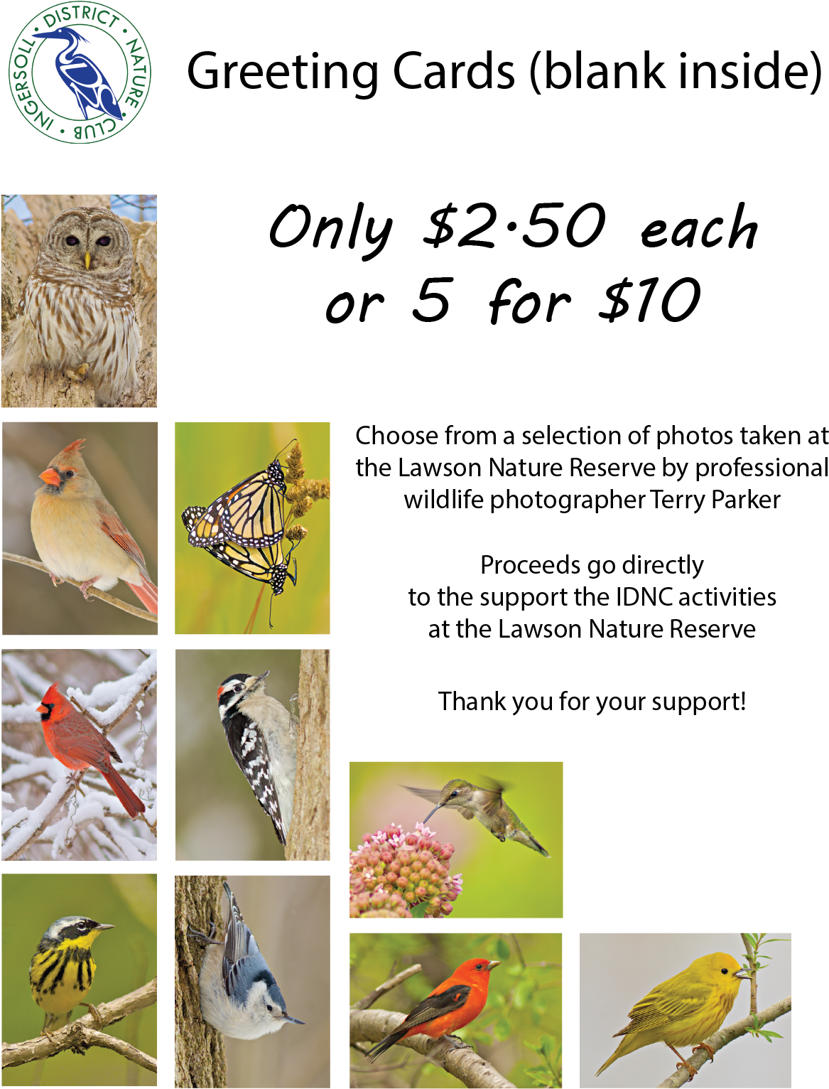 Idnc Greetcard Display 150dpi-01 - Old World Flycatcher (1275x1650), Png Download