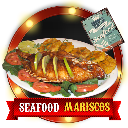 504 In Mariscos - Invisible Circus: No Dress Rehearsal (2010) (504x504), Png Download