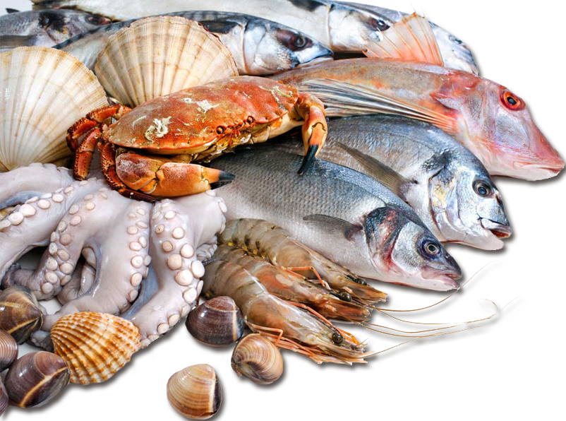 Gran Selección - Sea Food In Pakistan (802x596), Png Download