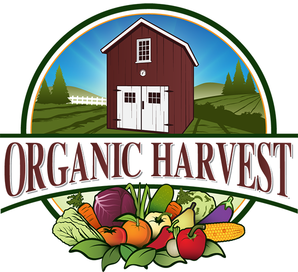 Logo - Barn (600x548), Png Download