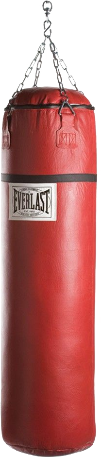Everlast Heavy Bag - Everlast (208x939), Png Download