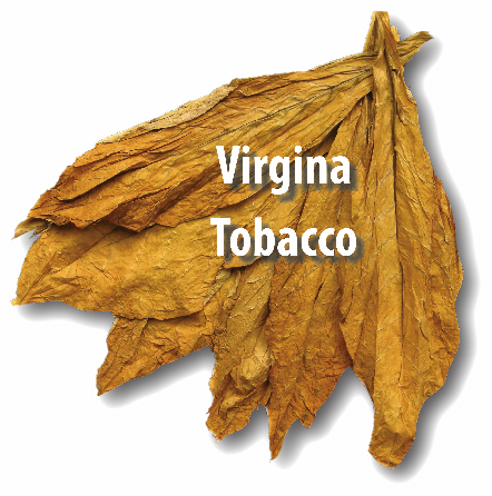 Burley Virginia Turkish - Dry Tobacco Leaves Transparent (500x500), Png Download