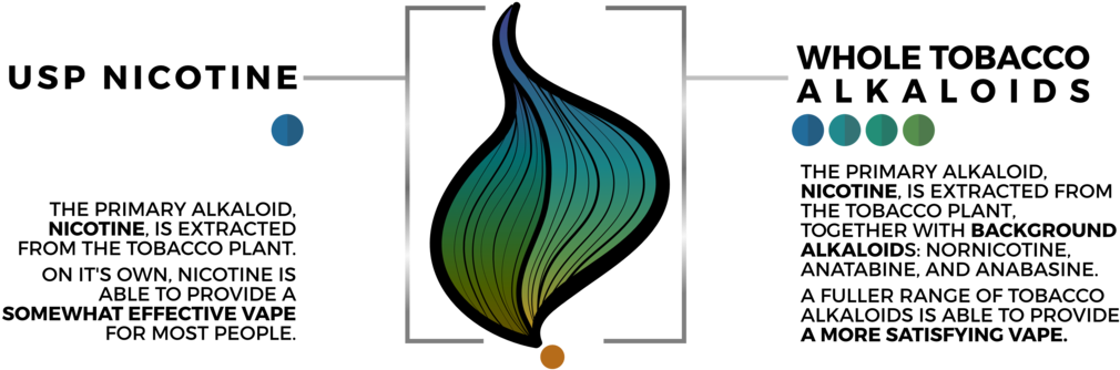 The Difference Between Wta And Usp - Nicotine (1023x363), Png Download