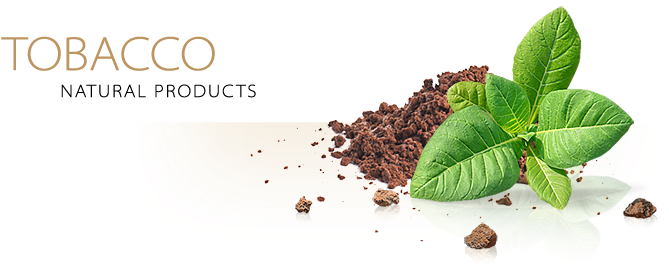 Tobacco Sauces - Coffee Substitute (754x315), Png Download