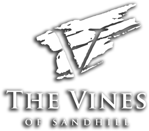 The Vines Of Sandhill - Graphic Design (500x499), Png Download