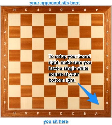 The Chess Board - 16" Wooden Chess Board With Coordinates| Chesshouse (474x517), Png Download