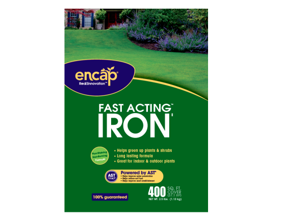 Encap Fast-acting Iron Plus - Encap Llc 11608-36 Encap Fast Acting Iron (555x436), Png Download