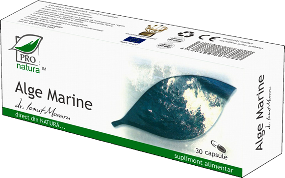 Seaweed - Algae (581x362), Png Download