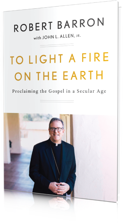 To Light A Fire On The Earth - Light A Fire On The Earth Bishop Barron (800x800), Png Download