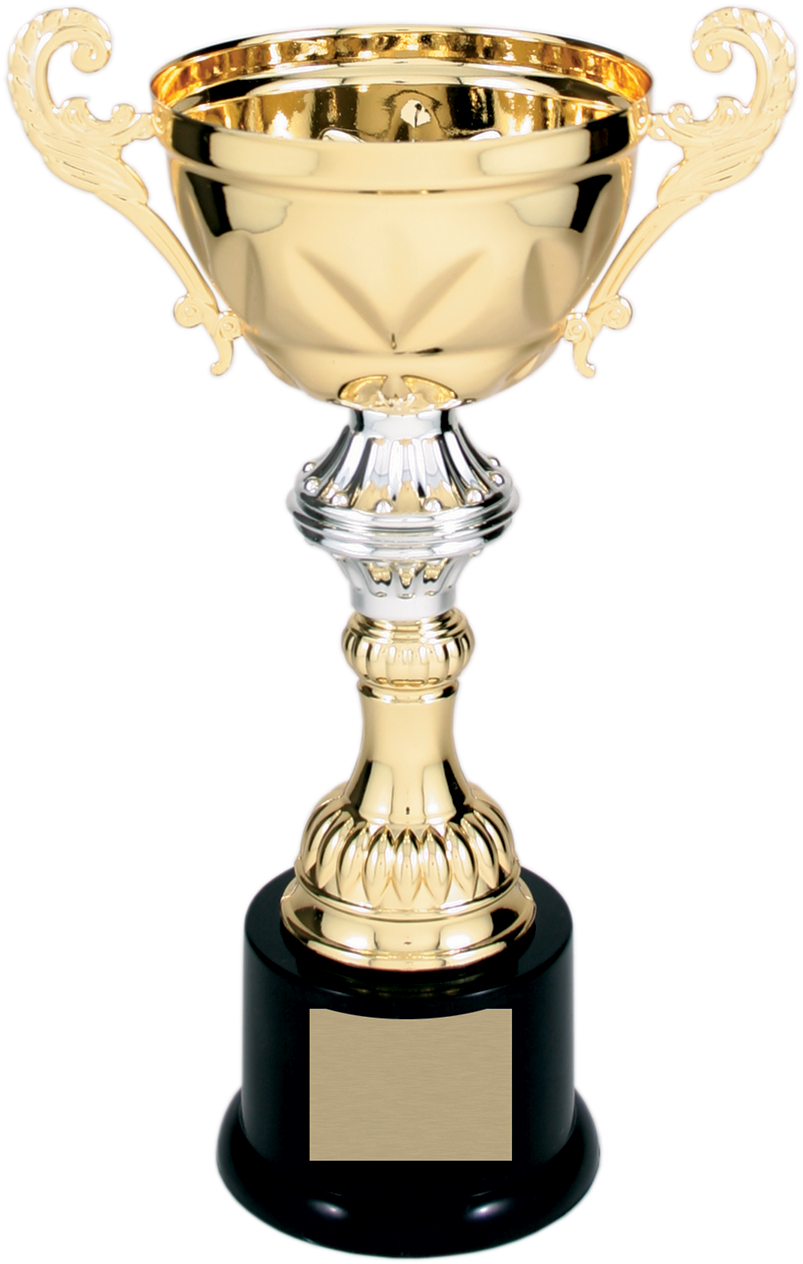 Gold Metal Corporate Cup Trophy On A Black Marble Base - Trophy Cup (892x1350), Png Download