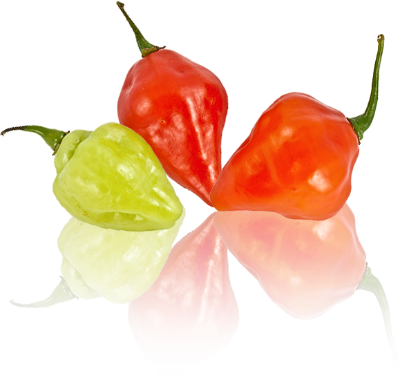 1 - Habanero Chili (579x547), Png Download