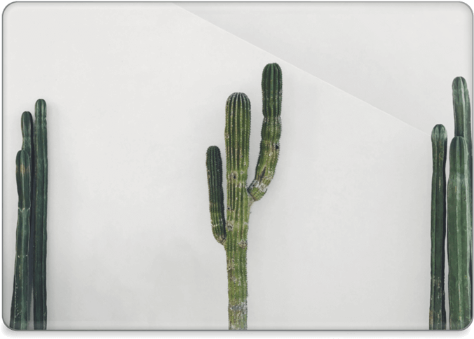 Cactus Mexicano - Macbook Pro 13-inch (800x562), Png Download