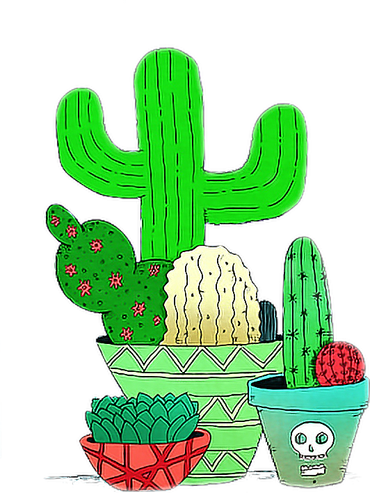 Cactus Mexican Mexicano Green Verde Freetoedit - Overlays Transparent Tumblr Cactus (532x708), Png Download