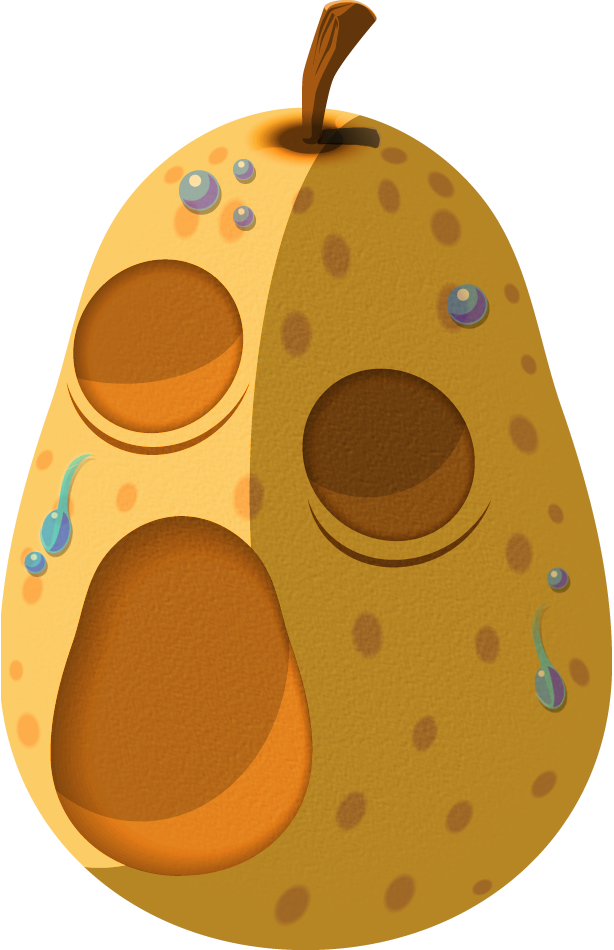 Hyoi Pear (614x950), Png Download