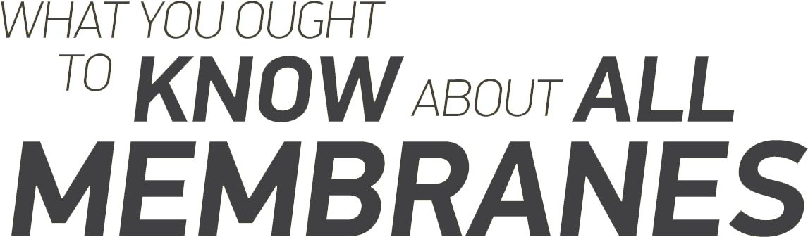 All Membranes, No Matter What Brand Or Construction, - Black-and-white (1300x446), Png Download