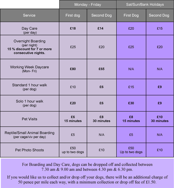 Active Animal Pet Care (741x800), Png Download