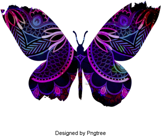 Beautiful Colorful Cartoon Precioso Piso Pintado A - Beautiful Butterfly White Background (360x360), Png Download